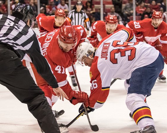 Florida Panthers at Detroit Red Wings